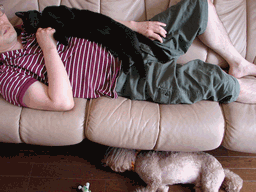 c0136736_2095064.gif