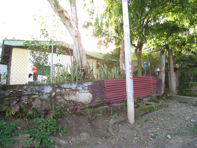 b0127144_612425.jpg