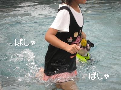 e0126046_2203248.jpg