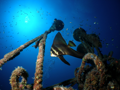 d0065247_23423628.jpg