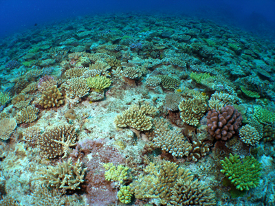 d0065247_23445151.jpg