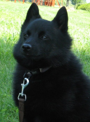 a0009750_17245.jpg