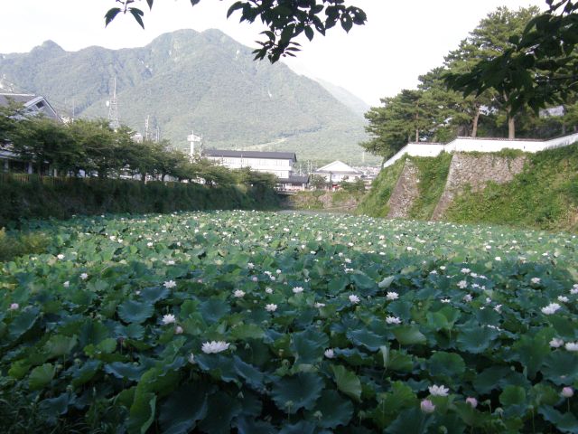 c0042869_22112216.jpg