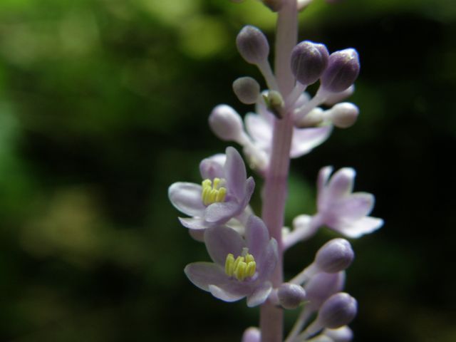 c0042869_2224192.jpg