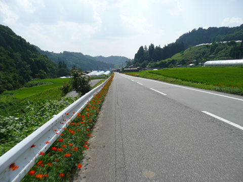 c0107075_19162168.jpg