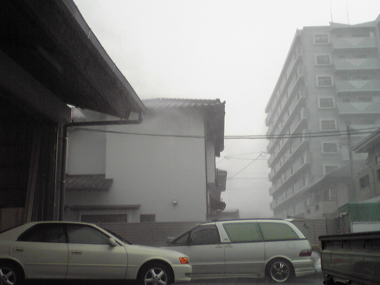 e0005780_910846.jpg