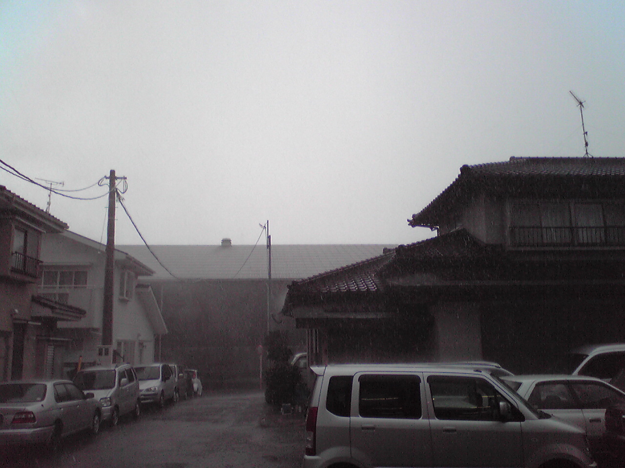 e0005780_98503.jpg