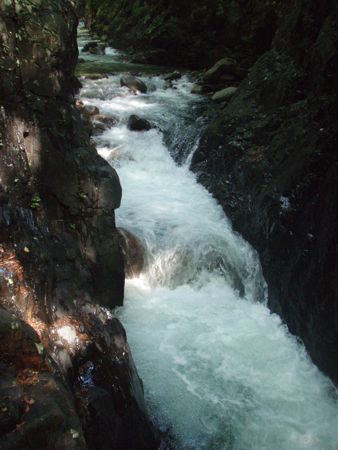 f0087787_20382796.jpg