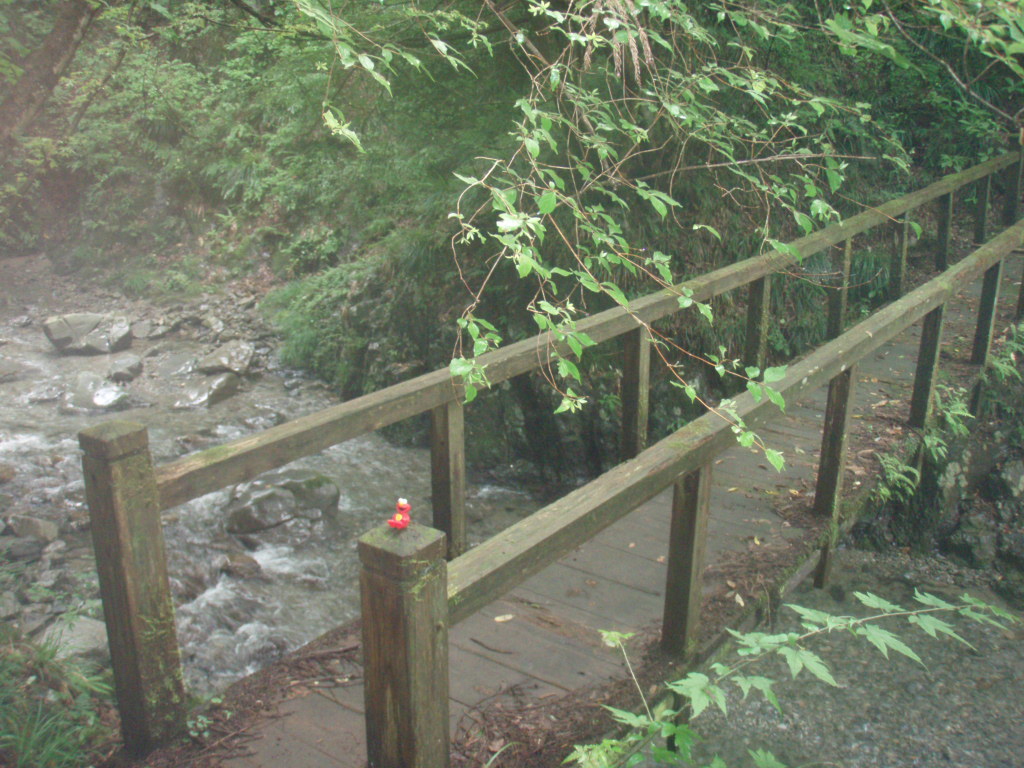 d0034291_049941.jpg