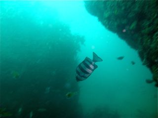 d0010496_13574078.jpg