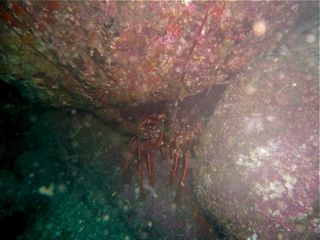 d0010496_1432420.jpg