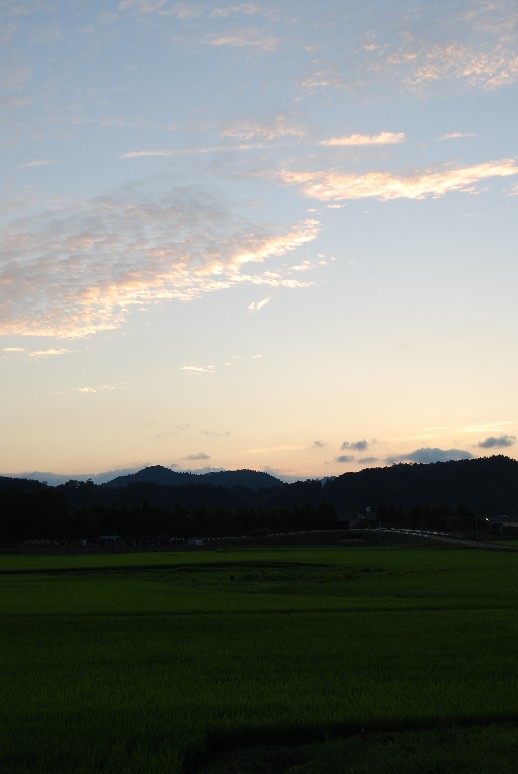 d0085096_14524489.jpg
