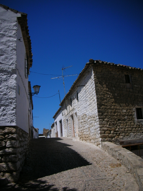 e0061699_6532883.jpg