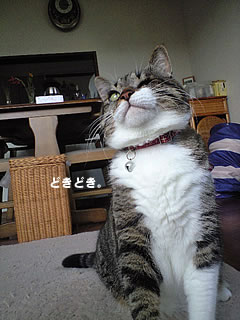 c0035001_16292094.jpg
