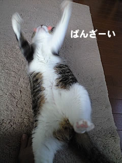 c0035001_16302611.jpg