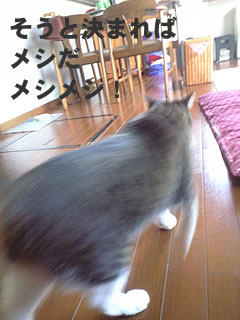 c0035001_16304697.jpg