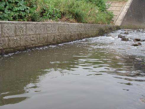 e0123808_02569.jpg