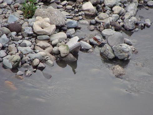 e0123808_23551928.jpg