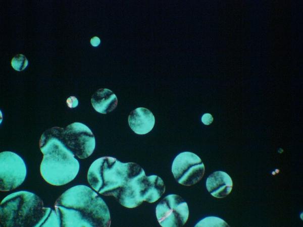 c0164709_17315946.jpg