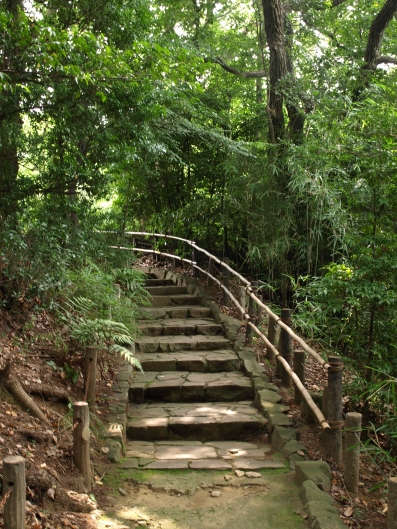 e0083212_16262473.jpg
