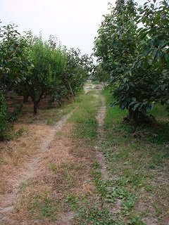 f0152412_21115639.jpg