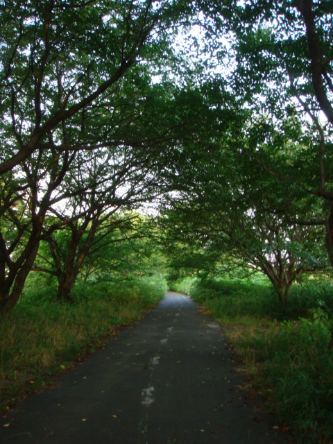 f0152412_2194167.jpg