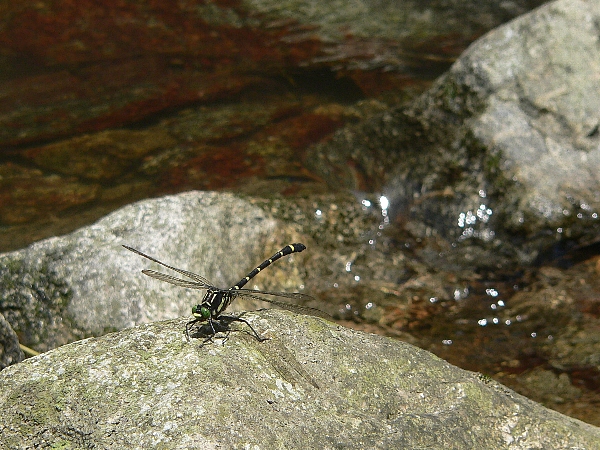 e0002314_15102129.jpg