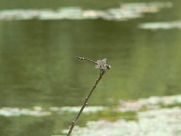 e0002314_1593094.jpg