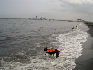 e0080117_23312170.jpg