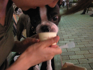 e0080117_255513.jpg