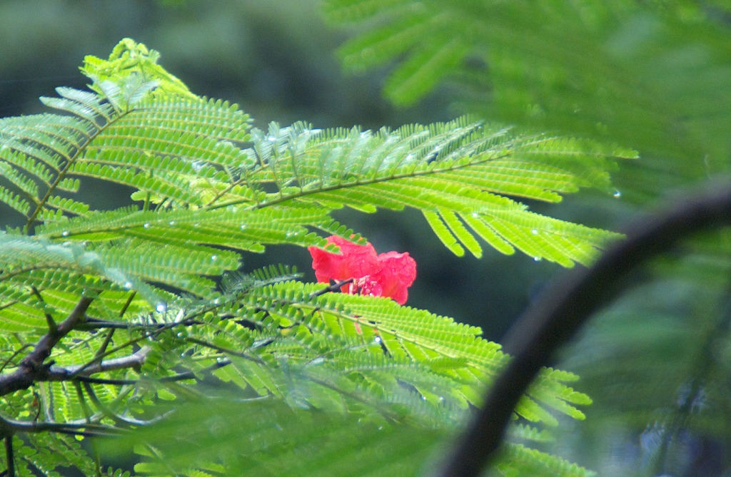 d0053930_6443062.jpg