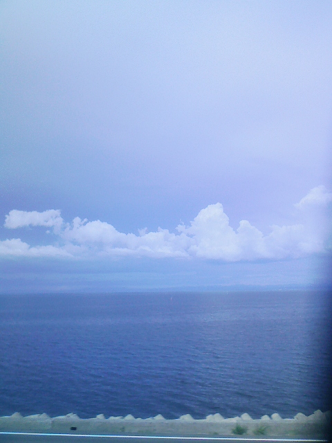 a0083335_1616232.jpg