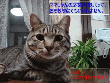 c0136736_22364882.gif