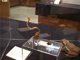 f0169942_6462635.jpg