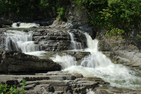 f0166545_11311751.jpg