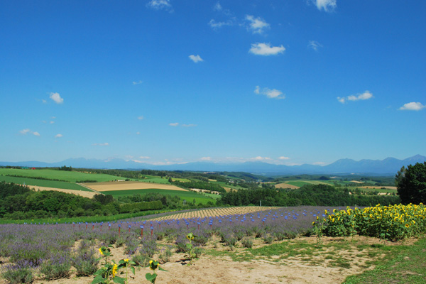 f0166545_11364298.jpg