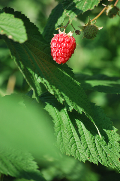 f0166545_2215745.jpg