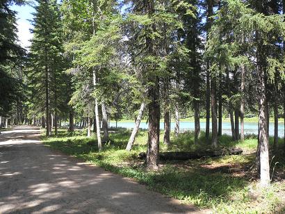 f0062649_1352341.jpg