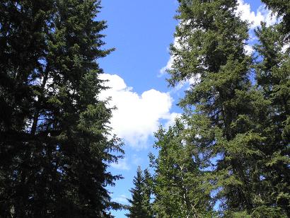 f0062649_138271.jpg