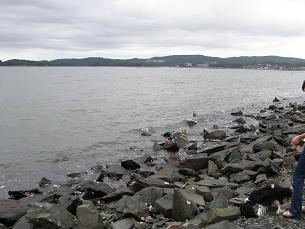 c0145250_14534293.jpg