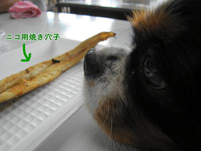 c0145250_1561898.jpg