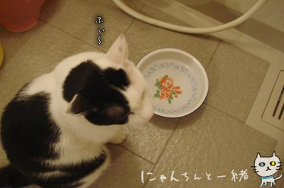 e0031853_14213323.jpg