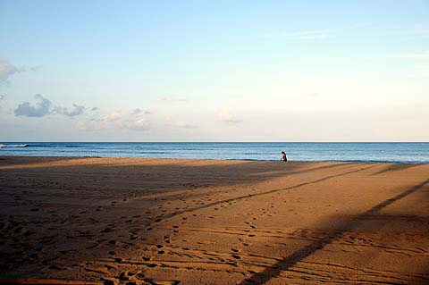 e0050753_13421121.jpg