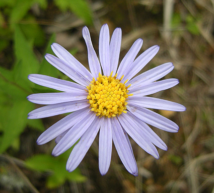 a0001354_19221877.jpg