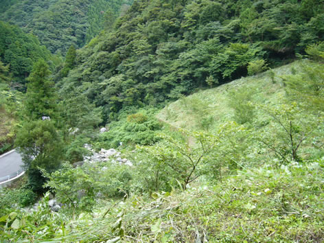 f0067354_2224829.jpg