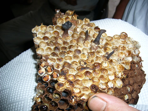 f0067354_22345881.jpg