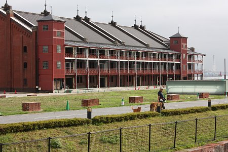 f0171559_20414946.jpg