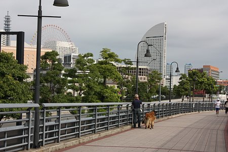 f0171559_2133310.jpg