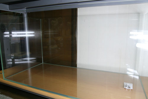 d0055262_7394427.jpg