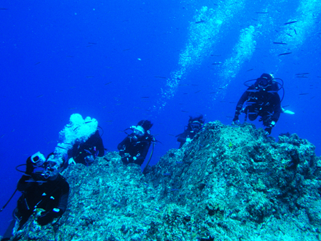 b0062363_23445499.jpg
